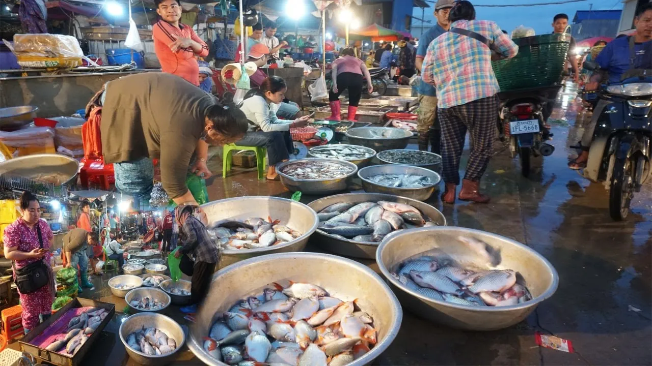 Early Morning Fish Market Tours - Early Morning Activities of Vendors Selling Fish & Seafood