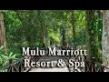 Lagu Mulu Marriott Resort \u0026 Spa Malaysia【Full Tour in 4k】