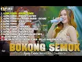 Download Lagu AJENG FEBRIA - BOKONG SEMOK full album tanpa iklan !!!