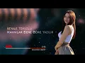 Download Lagu Azeri Remix 2021 ( Mahnılar sene Göre Yazılır) En Yeni Azeri Hit Mahni ✔️✔️✔️