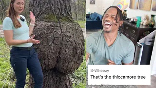 Reading The Top FUNNIEST Tik Tok COMMENTS | Alonzo Lerone