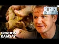 Great Location Awful Restaurant Kitchen Nightmares UK