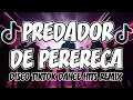 Download Lagu PREDADOR DE PERERECA - TIKTOK VIRAL DJ SNIPER REMIX