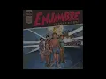 Enjambre - La camara de faltas