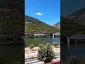 Lagu Discover the Magic of the Douro Valley! 🍇