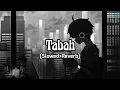 Download Lagu Tabah (Slowed+Reverb) | Mohit Chauhan