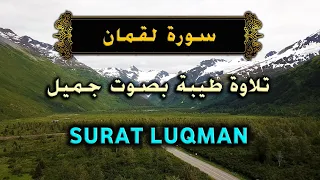 سورة لقمان اسلام صبحي              دندنها