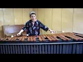 BILLIE ELISH- Everything I Wanted (Cover Marimba)