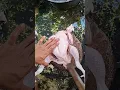 Download Lagu The Easiest Way to Cut a Whole Chicken at Home #ChickenButchering  #ButcherChicken #CookingTips