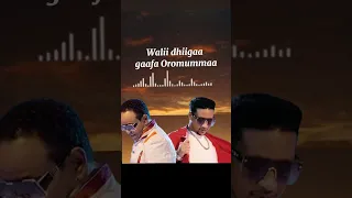 Qamar Yusuf Vs Yosan Getahun Duet Music Playlist Ethiopia Galaanoo Kemeryousuf Oromosong 