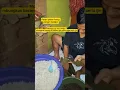 Download Lagu Mbungkus Bacang #shorts #shortvideo #shortsfeed #tutorial
