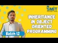 Inheritance in Object-Oriented Programming Python - Complete Guide