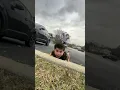 Biting the curb