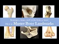 Bone Practical Study Tips Correct Common Study Mistakes Understand Vocabulary