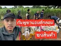 Download Lagu เขมรวิกฤติหนัก!!! แอบนำเข้าสินค้าไทย แต่ก็ไม่รอดสายตาเจ้าหน้าที่ทหารไทย 