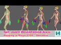Skeleton and Joint Orientation Axis Rigging in Maya 2020