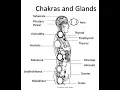 Download Lagu Lets understand Chakras and Nadis - how to open chakras and activate nadis #chakras #nadi #yoga
