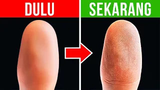 sidik jari yang hilang akan muncul lagi dengan pola yang sama fakta tubuh lainnya