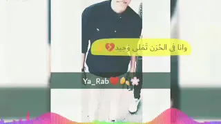 حاالات واتس كل الناس فاكرنى سعيد مهرجان اللى خااارب مصر 