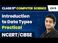 Class 11 NCERT Computer Science Chapter 5 Introduction to Data Types - Practical