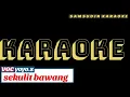 Lagu karaoke sekulit bawang
