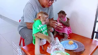 Mother Feeding Delicious For Baby Monkey #monkey #livestream #love