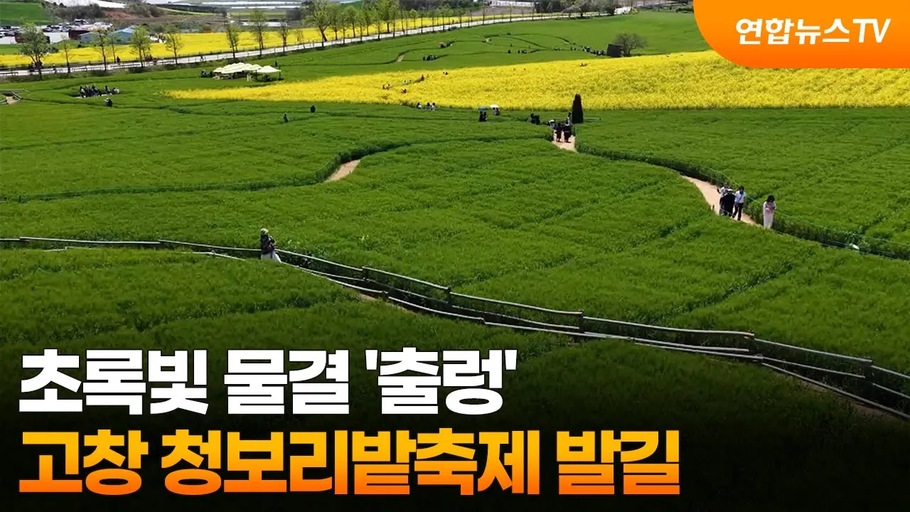 관련 영상 썸네일