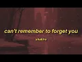Download Lagu Shakira - Can't Remember to Forget You (ft. Rihanna) (lyrics)