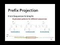 581 PrefixFPM A Parallel Framework for General Purpose Frequent Pattern Mining