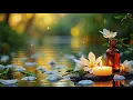Download Lagu 🍀Air dan Burung: Musik yang Menenangkan untuk Tidur dan Meditasi, musik terapi relaksasi, musik yang menenangkan.