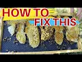 Beekeeping How To FIX PREVENT Wonky Comb