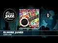 Elmore James - Sunny Land (1954)
