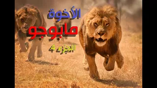 الأخوة مابوجو الذين حكموا    عام   بحر الدم الجزء الأخير                                      دندنها