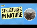 Structures in Nature Writing and Science Activity