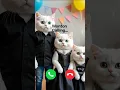 Download Lagu Wonton calling 🤙🏻✨ #ringtone #calling #cat #foryou #cutecat #trending #youtube #youtubeshorts #viral