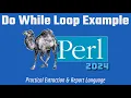 Learn Perl Do While Loop Beginners Code Example 2024