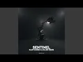 Sentinel Original Mix