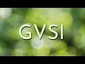 Is GVSI Going To End Up Pink Current What To Expect