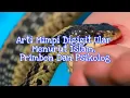 Download Lagu Arti Mimpi Digigit Ular Menurut Islam Primbon Dan Psikolog