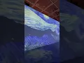 My tour to the Van Gogh Immersive experience in Virginia Beach