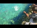 Download Lagu MAU MAKAN IKAN SEGAR TINGGAL MANCING DI DEPAN RUMAH TAK PERLU JAUH SAMPAI KELAUT DALAM