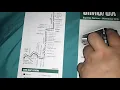 SIM5 Bus Schedule Comparison