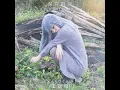 保存期限