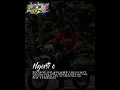 Download Lagu Story WA 30 Detik Terbaru//Story WA Drag Racing 30 Detik//Takkan Pisah Wali Band