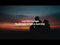 Pitbull - Shake Senora (Lyrics) ft. T-Pain, Sean Paul