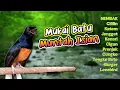 Download Lagu #1 PANCINGAN MURAI EMOSI NEMBAK ISIAN - MASTERAN PENYUSUN LAGU MEWAH!