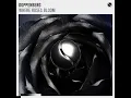 Where Roses Bloom (Extended Mix)