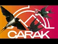 Download Lagu SUARA PANGGIL BURUNG WALET ASLI DARI ALAM | HOW TO CALL SWIFT BIRDS 2023