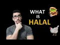 What is Halal? What does halal mean?