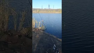 песня рыбалка песня 